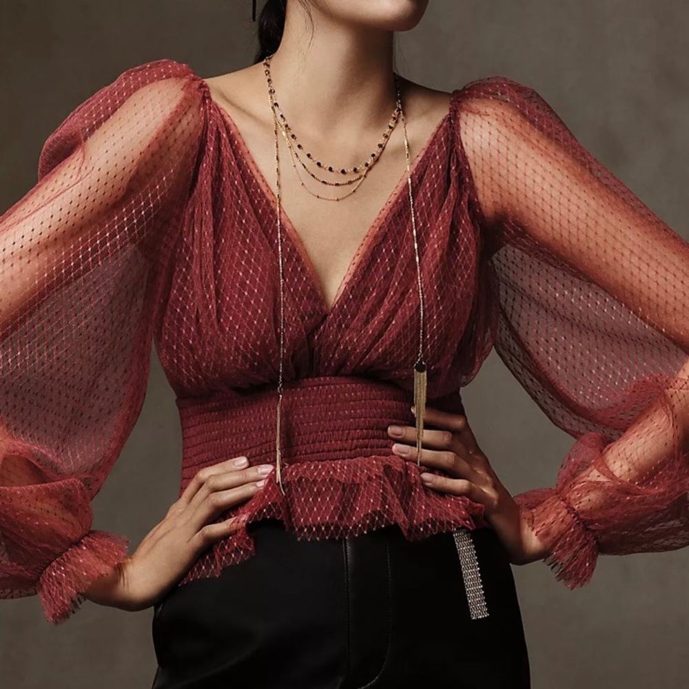NWT Anthropologie Tulle Blouse -Small - SOLD OUT ONLINE